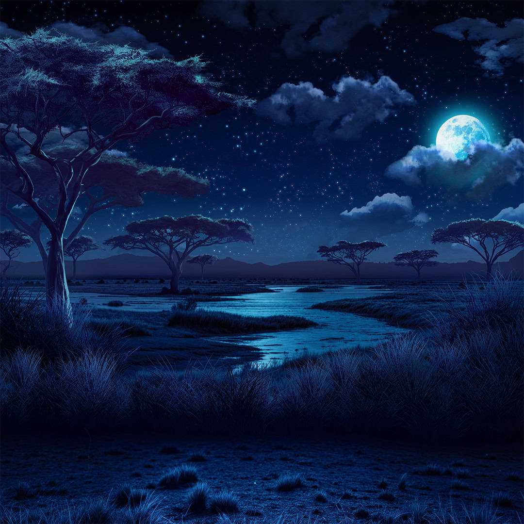 Cash Connection – Moonlight Safari