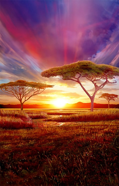 Golden Safari